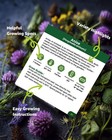 Medicinal   Tea Herb Seeds For Planting - 35 Non-gmo Heirloom Variety Pack Fo   