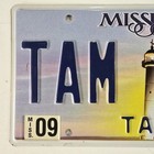 Mississippi Lighthouse License Plate Tate County Ms Name Tag Tam 327 Tammy