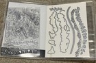 Retired Stampin Up   quite Curvy  Stamp Set   Die Cut Bundle   154430 