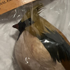 Mangelsen s Cardinal Female Feathers Bird 4 5 Inches New