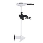 Riptide Transom 55 Lb    Sc hand - 42  