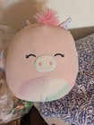 Assorted Squishies And Beanie Babies