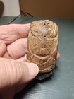 Alaskan Driftwood Hafted Scraper