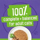Purina Friskies Seafood   Chicken Pate Favorites Wet Cat Food - 40 Count