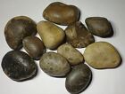 Petoskey Stones 1lb Lot Whole Michigan Unpolished Hexagonaria Craft Rocks