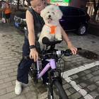 Front Bike Dog Seat   Pet Basket     Quick Release  Secure Safety Straps  Breathab