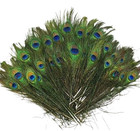 10 Pcs Natural Peacock Feather With Eyes Tail Feathers For Home Decor Craft Supp