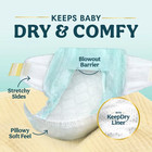Pampers Swaddlers Fragrance Free Baby Diapers Size 4  116 Count  Freeshipping