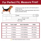 Leather Dog Collar Soft Padded Personalized Custom Name Engraved Metal Buckle