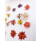 Seashell Flower Craft Embellishments 16 Pc Vintage Shells By Emily Marco Island