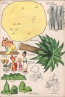 Vintage Uncut 1952 Peter Pan Paper Dolls Hd Laser Reproduction No1 Top Slr