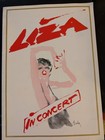 Liza Minnelli    liza In Concert    Tour Program Booklet  Vintage Souvenir 
