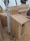  Cedar Bird House   2 Pack  
