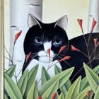 Framed Black   White Kitty Tuxedo Cat Birches Diana Jackson Wall Art Print Rare