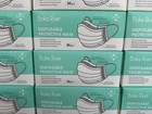 1 000 Pieces Disposable Protective 3-ply Face Masks