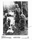 Warwick Davis Psa dna Signed 8x10 Photo Autographed Star Wars Return Of The Jedi