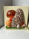 Vintage Mushroom Plaster Wall Hanging Decor Set