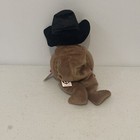 Ty Beanie Babies    plymouth    The Thanksgiving Teddy Bear W  Turkey 2005