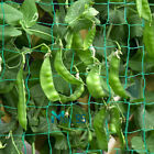 Garden Plant Climbing Net Trellis Netting Mesh Support Fruits Vine Veggie Bean