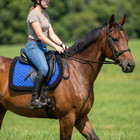 Horse Quilted English Bareback Pad Trail Fleece Neoprene Royal Blue 72f48rb