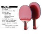 Half Or More Off Ping Pong Racket Table Tennis Paddle Super Deal Dhs Butterfly