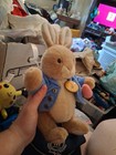 Vtg Eden Toys Peter Rabbit Bunny Plush Beatrix Potter Collectibles 6  Jointed