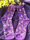 Free Ship Akc Breed Basset Hound Dog Ladies Socks New