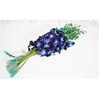 Dendrobium Dyed Blue Cut Orchids By The Box Of 7 Bunches