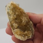 Ruck s Pit Calcite Clam Fossil - Mercenaria Permagna - Ft  Drum  Florida