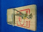 Trampa De Raton Religion Yoruba Botanica Orula Orunmila Santeria Ifa