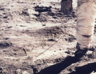 Buzz Aldrin Nasa Astronaut Apollo 11 Moonwalker Signed Autograph Photo Zarelli
