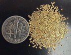 1 Gram Natural Idaho Gold Nuggets