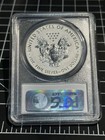 2013-w American Silver Eagle Reverse Proof  1 Pcgs Pr70