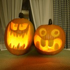 Jack O Lantern Pumpkin Seeds   Heirloom   Non-gmo   Free Shipping   1076