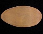 1933 Hollywood Chicago World s Fair Elongated 19xx Wheat Cent