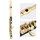 Lade C   key Piccolo Flute Golden Abs Cupronickel Woodwind Instrument For Student