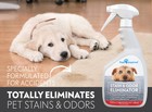 Pet Enzyme Cleaner Spray   Enzymatic Cleaner For Dogs  Eliminates Dog Urine S   