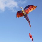 140cm X 120cm   55 X 47 Inch Dragon Kite Single Line Flying Kite With Tail Ogwx
