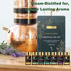 Mayjam 35pcs Essential Oils Set 100  Pure Natural Aromatherapy Oils Gift Kit 5ml