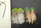 Vintage Quetzal  Back Feathers