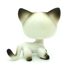 Rare Littlest Pet Shop  5 Black White Short Hair Siamese Cat Blue Eyes Lps