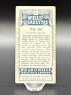1910 Wills   s Cigarettes Card Fish   Bait Series Of 50 - The Eel