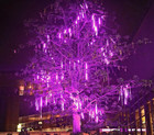 Christmas Purple Meteor Shower Rain Lights  10 Tube 360 Led 12 Inch For Outdoor
