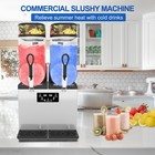 Tecspace Commercial 110v 950w 2 Tanks 24l Frozen Drink Slushy Making Machine