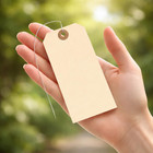 Manila Label Tags With Wire 100-pack 4-3 4x2-3 8 Blank Reinforced Hole