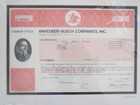 Anheuser-busch Companies  Inc  Corporate Stock Certificate  2008 Framed
