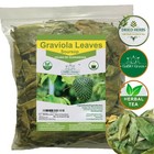 Soursop Leaves  Natural Graviola - Hojas De Guanabana  Tea Soursop