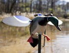Mojo Baby Mallard Spinning Wing Duck Decoy For Duck Hunting