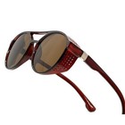 Vintage Steampunk Sunglasses Women Fashion Round Brown Retro Eyewear Trendy 2026
