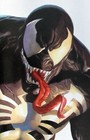 Kyle Willis    cool Guy    Remarque On Alex Ross    Venom  Lethal Protector Ii  1  Cgc